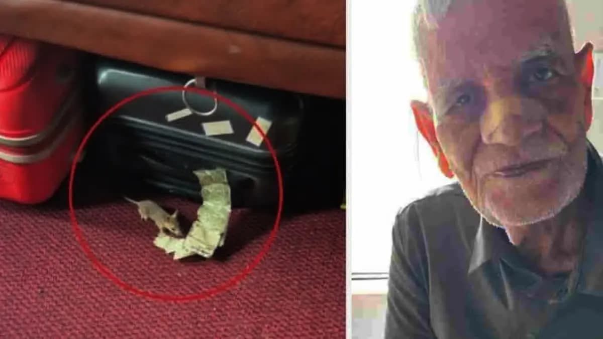 Rat bites old passenger in indore express train