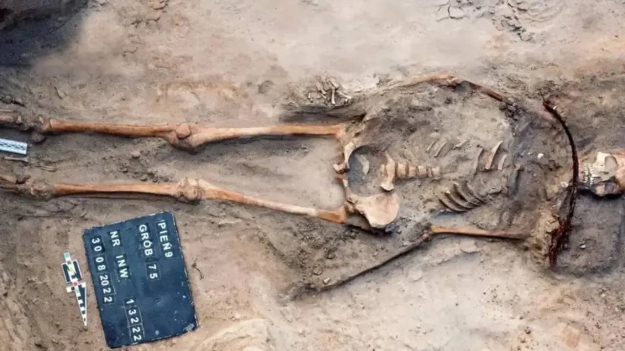 400-Year-Old ‘Vampire Burial’ Unearthed in Poland: Sickle Around Her Neck, Padlock on Her Toe