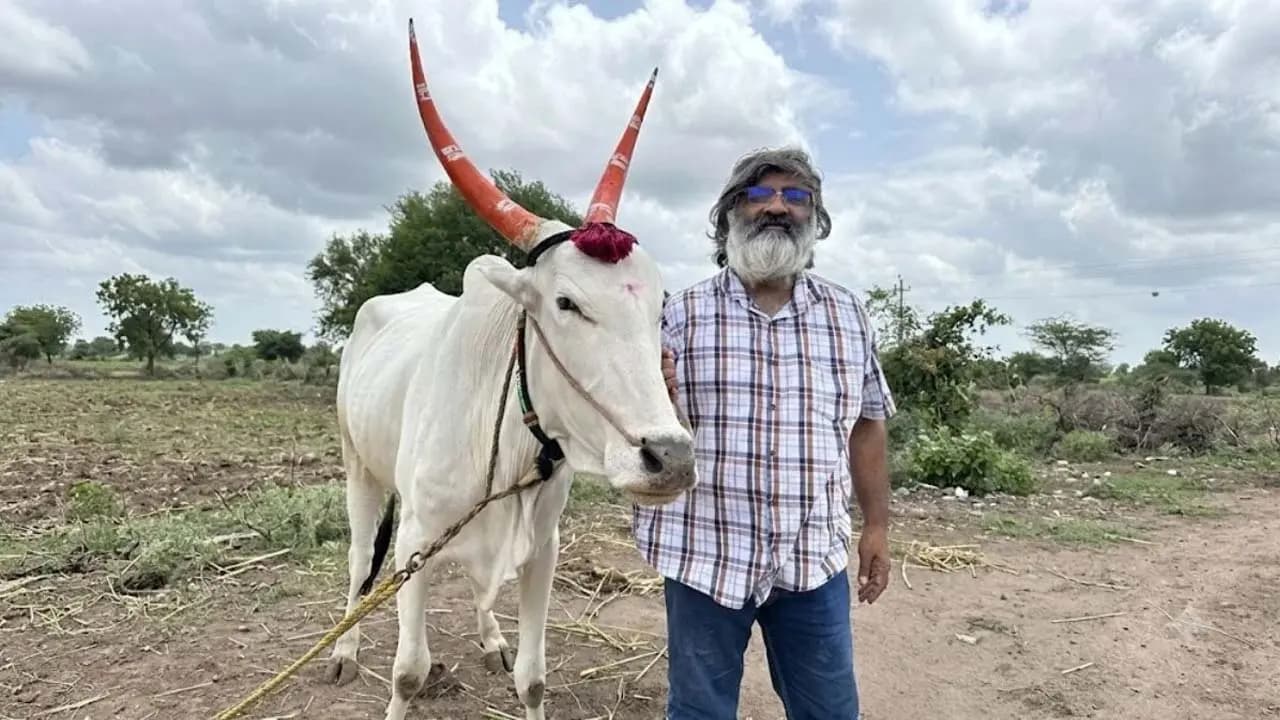 Inspirational News: Resigning from a high-paying job in the US and returning home Shashi hit the jackpot with a single brilliant idea now earning Rs 600 crore annually 