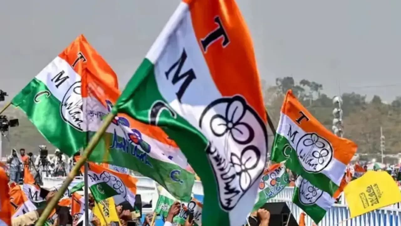 Former TMC Councillor is accused of snatching land and forgery