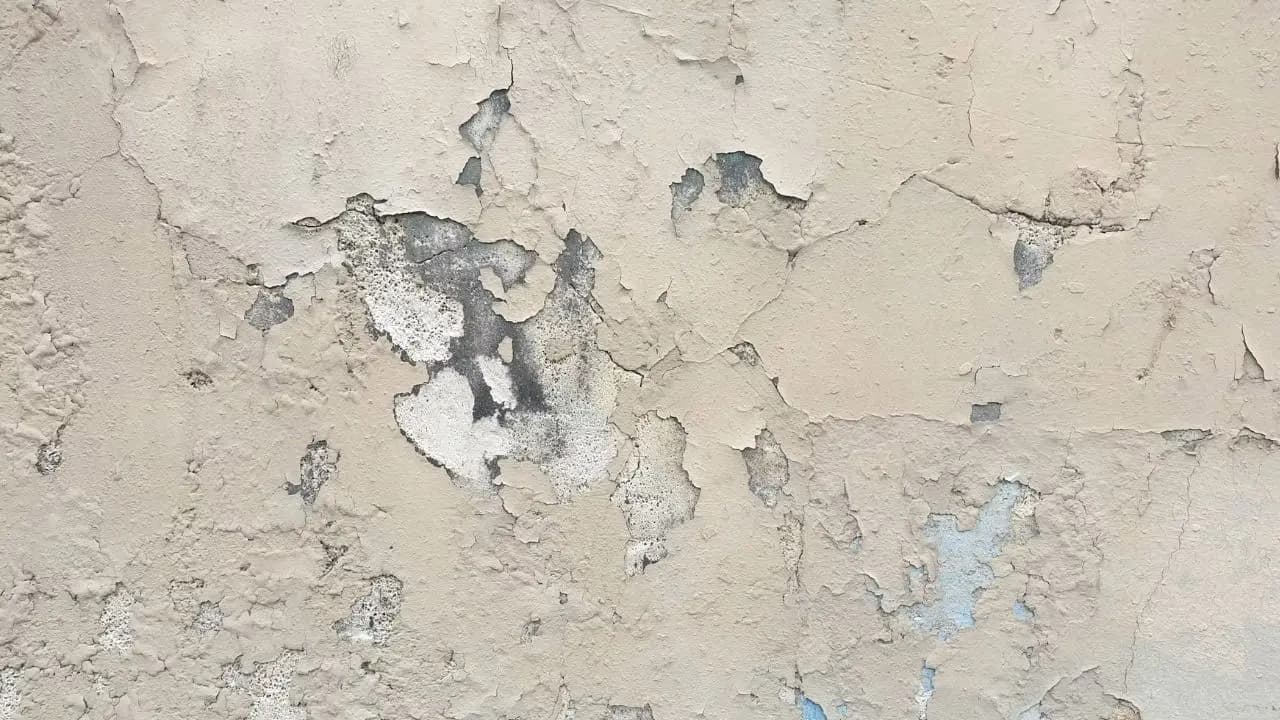 Home decor: wall paint is peeling off during rainy season use these tricks to keep putty intact