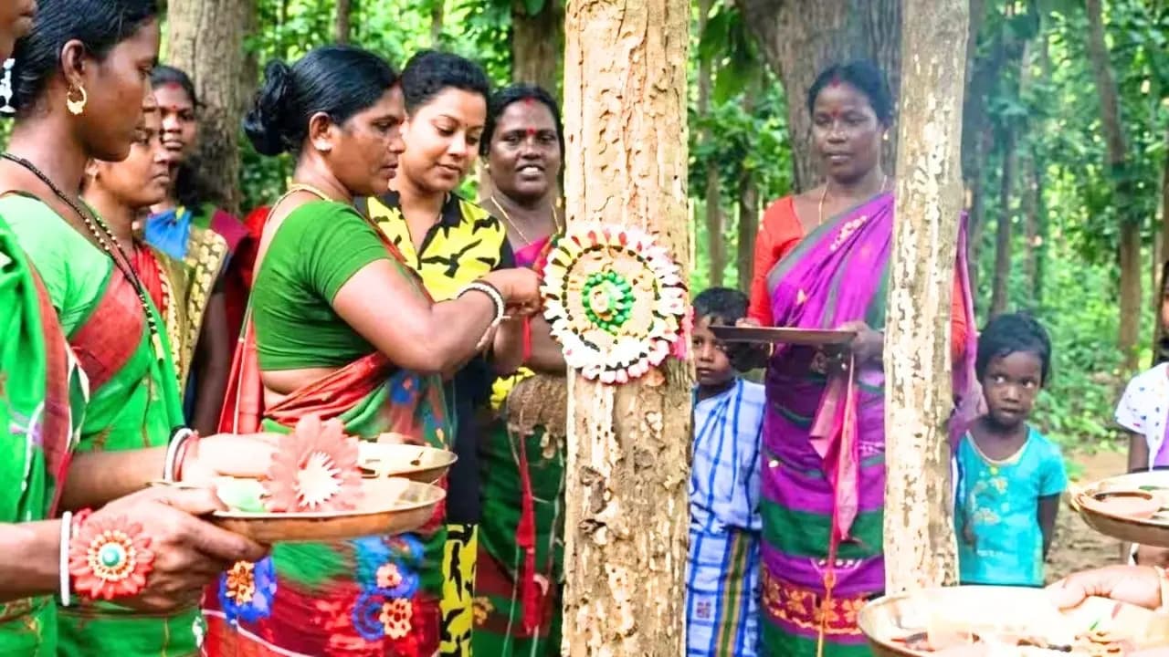 Jharkhand Raksha Bandan 2026: Jharkhand villagers ties rakhis to one lakh trees on Raksha Bandhan 2026