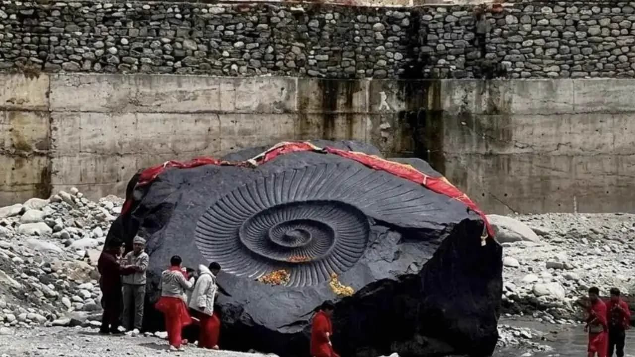Viral Photo of World's Largest 31 Tone Shaligram Stone Found in Nepal is Fake
