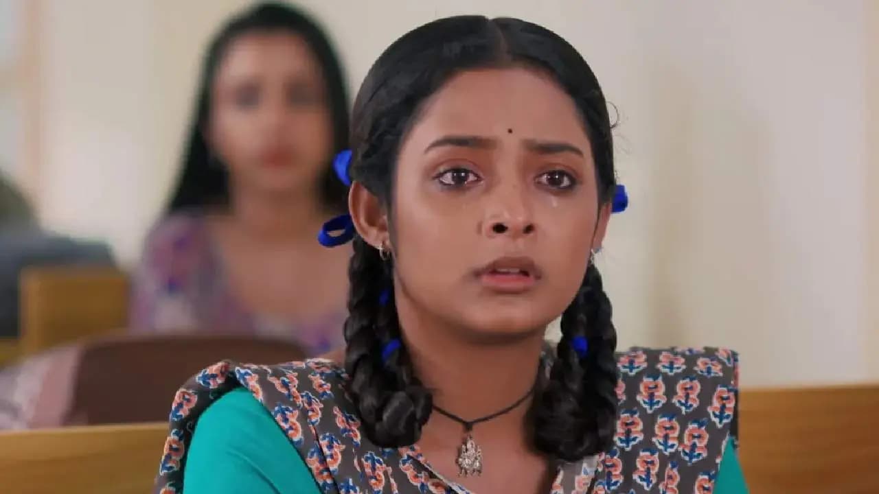Dulari serial upcoming episode spoiler: Will she be able to discover the truth about his life