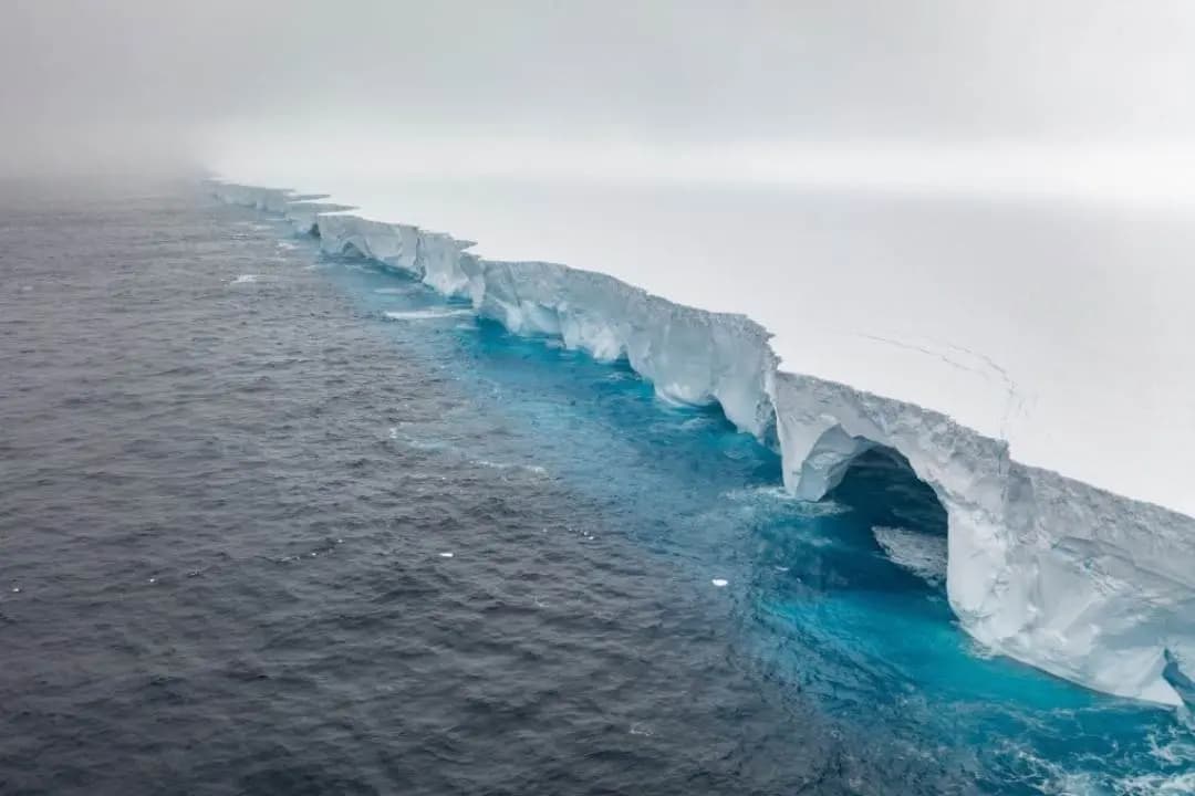 World's Largest Iceberg Once As Big As Bali Almost Disappears After 40 Years