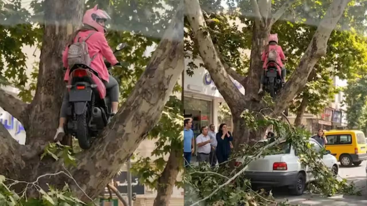 Scooter veers off the road and lands straight in the treetop Netizens left wide eyed at the sight of the woman and child perched up there