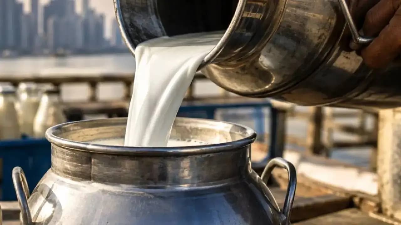 Milk Gets Costlier: Milk Prices Hike In Mumbai From September 1, Wholesale Rates Jump From 93 To 102 Per Litre