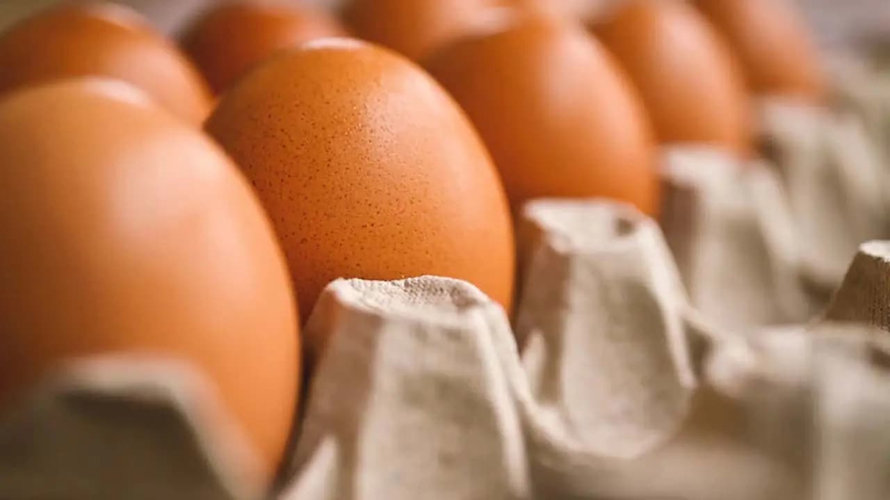 Egg Prices Are Rising: Are egg prices rising due to the E-20 fuel policy