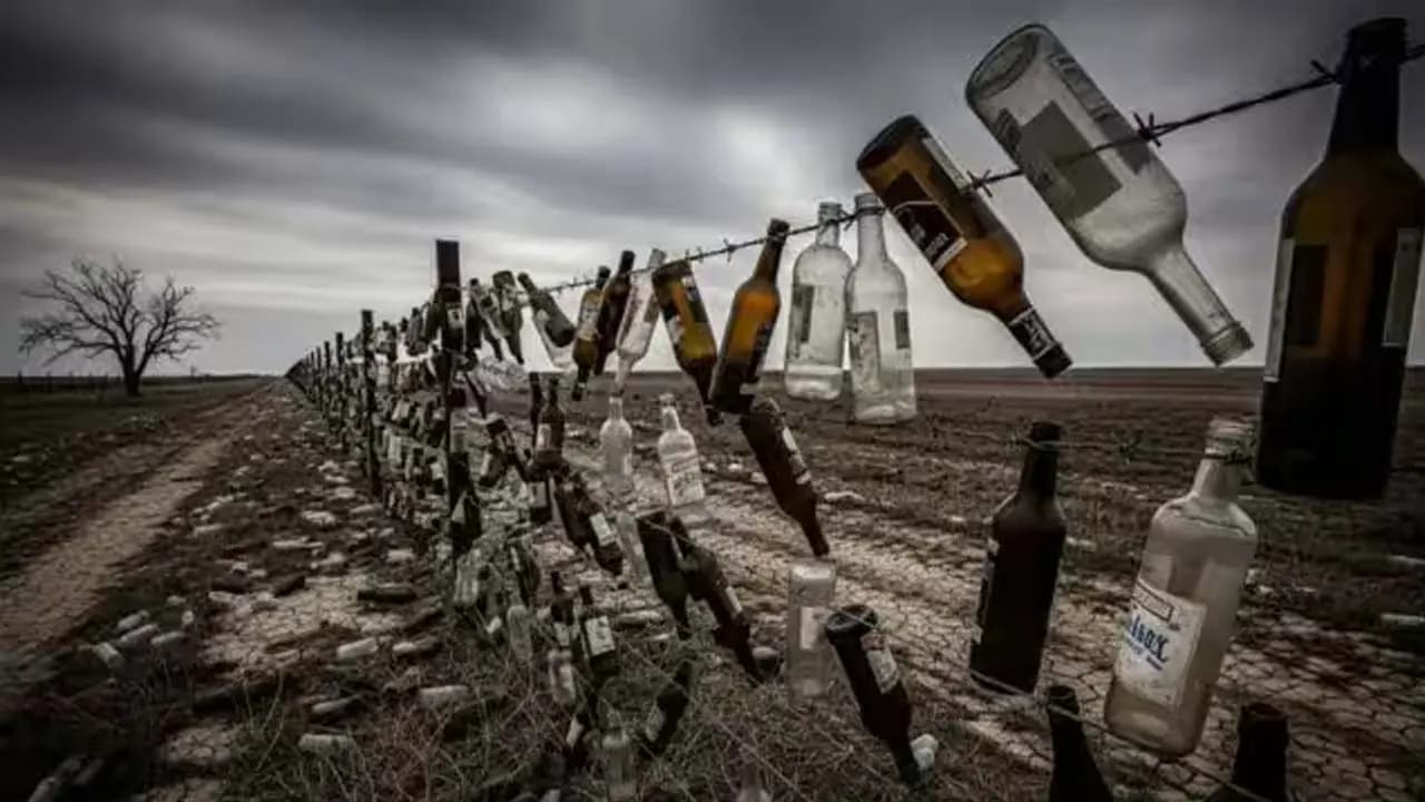 General Knowledge: Empty glass bottles are hanging from the barbed-wire fences along the border It may seem surprising but do you know the real reason behind it