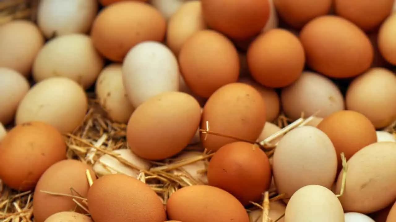 Egg Prices Surge Up to 50% in Six Months, Forcing Households to Cut Purchases