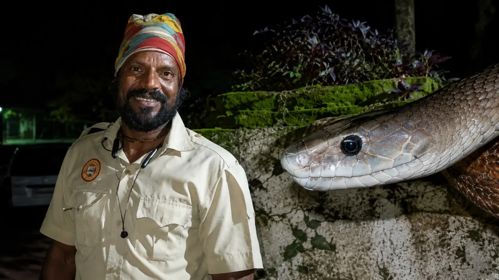 Snake Rescuer Tragic Death: Snake Rescuer Dies After Snake Bite In Medinipur 