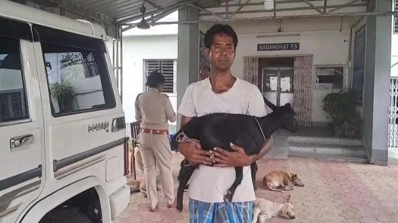 Surprising incident In Purbasthali: Goat witnesses before police arrives at police station on owners lap seeking justice