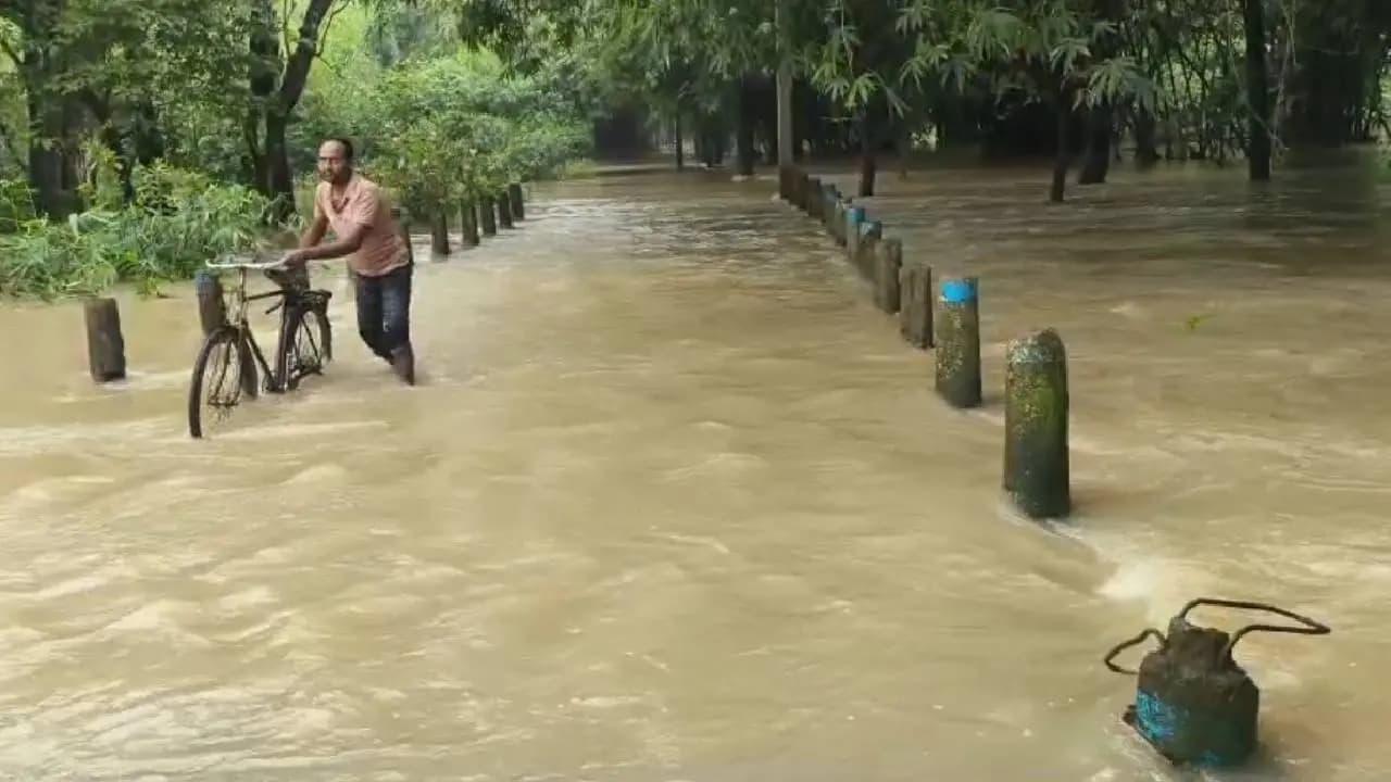 After Heavy Rain Water Releases From Maithon and Panchet Dam, Flood Fear in Birbhum 15 Villages