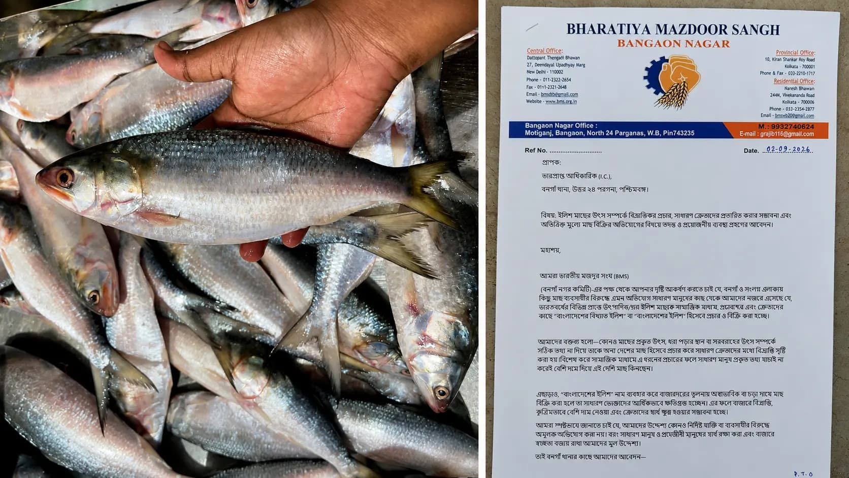 Fake Bangladeshi Ilish Sold in Bongaon: Mazdoor Sangh Files Police Complaint