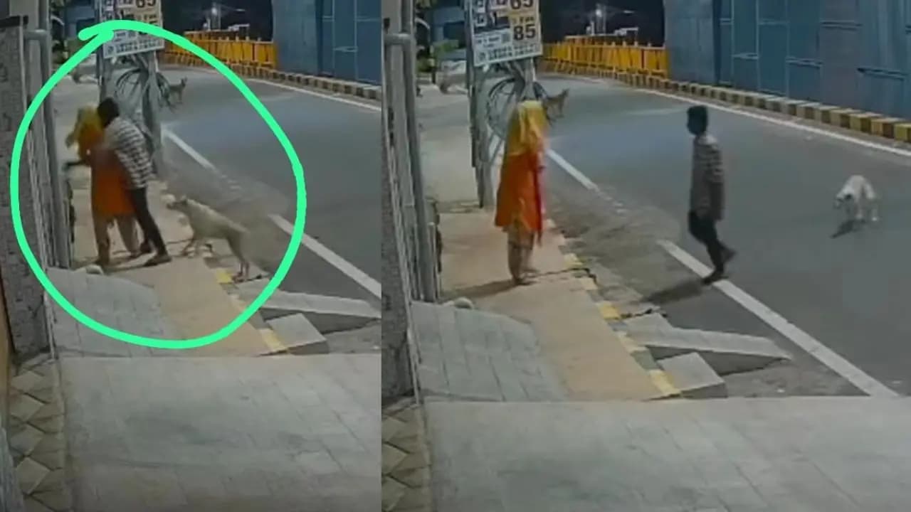 Viral: a stray dog saves a mentally ill woman from getting physically harassment 