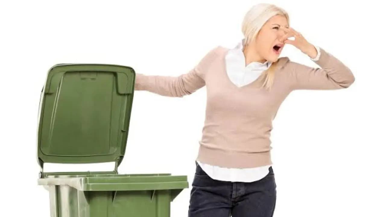 Home cleaning tips: bad smell still persists even after cleaning the dustbin Try these methods