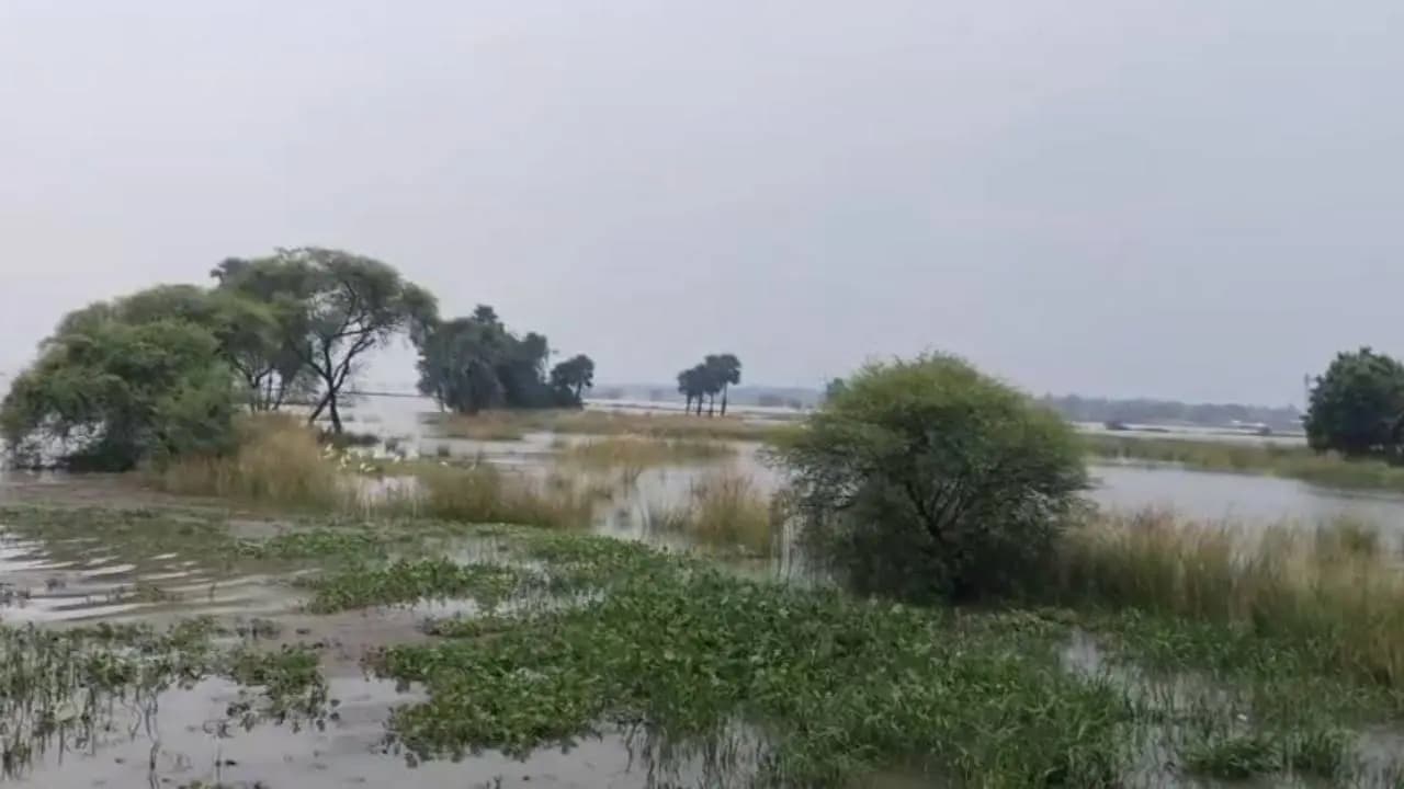 Flood Situation Worsens in Murshidabad's Barwan as Kuey and Kopai Rivers Overflow