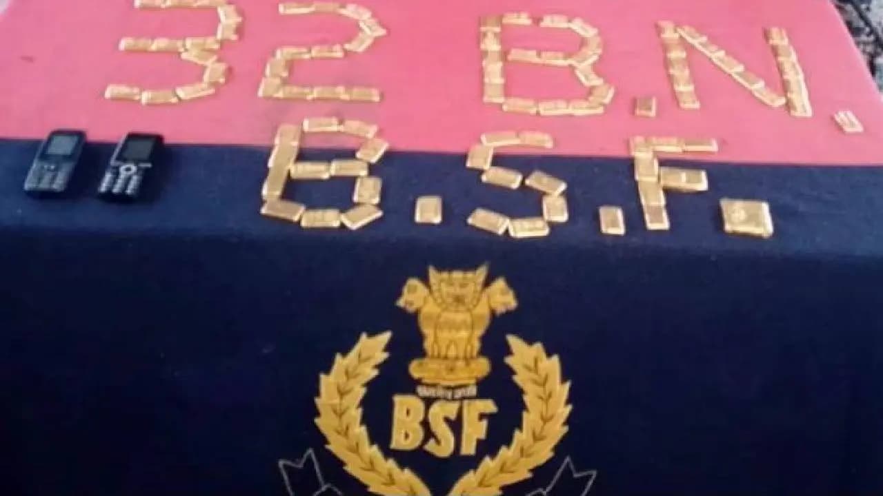 BSF Seizes Smuggled Gold Biscuits Near Bangladesh Border in Nadia