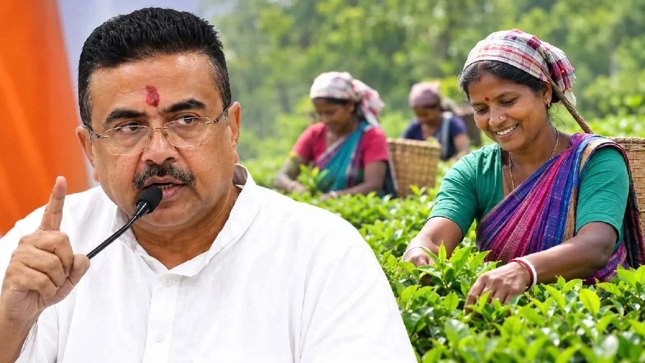 West Bengal Government will give Bonus for Tea Garden Workers before Durga Puja