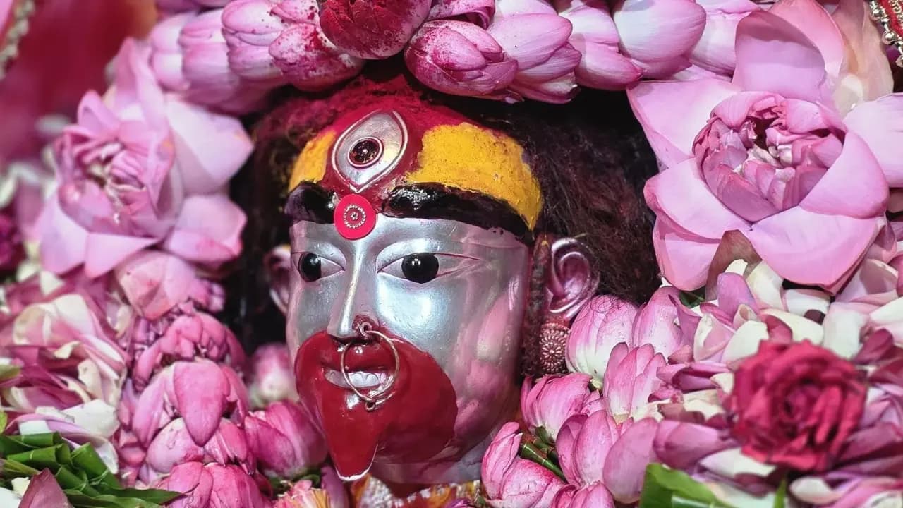 Kaushiki Amavasya 2026: Divine Significance of Tarapith, Who is Devi Kaushiki, Why Bhadra New Moon is Auspicious?