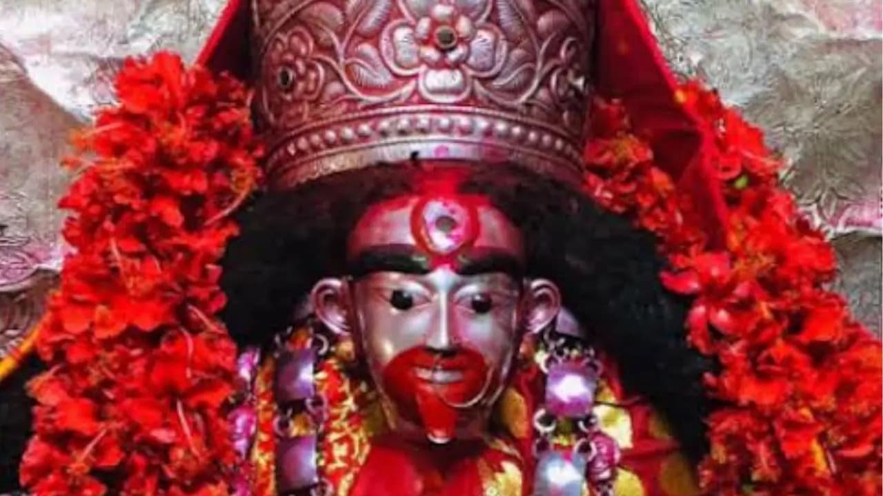 Kaushiki amavasya 2026: these 4 zodiac signs get more blessings of na tara