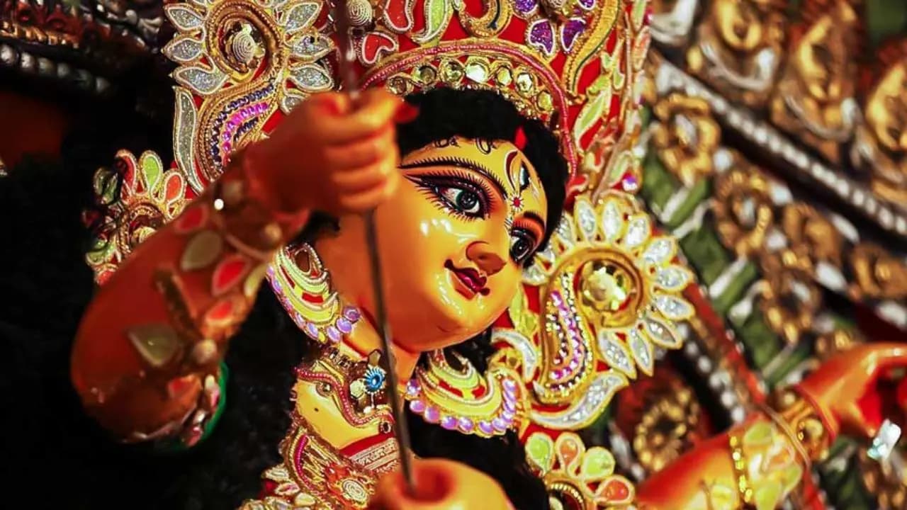 Special initiative in Durga Puja 2026 for elderly people by Adani Group,