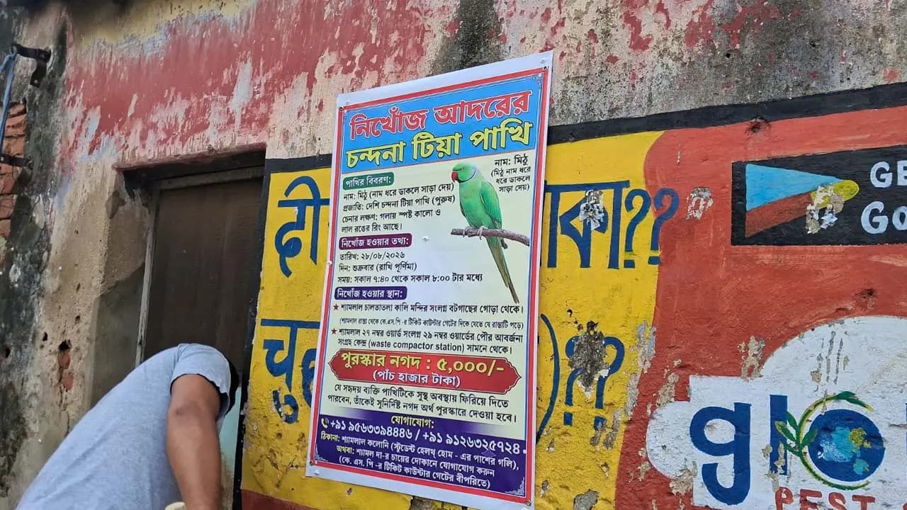 Mithu a missing Chandana bird the pets family seeks information by putting up posters on the walls of Burdwan town 