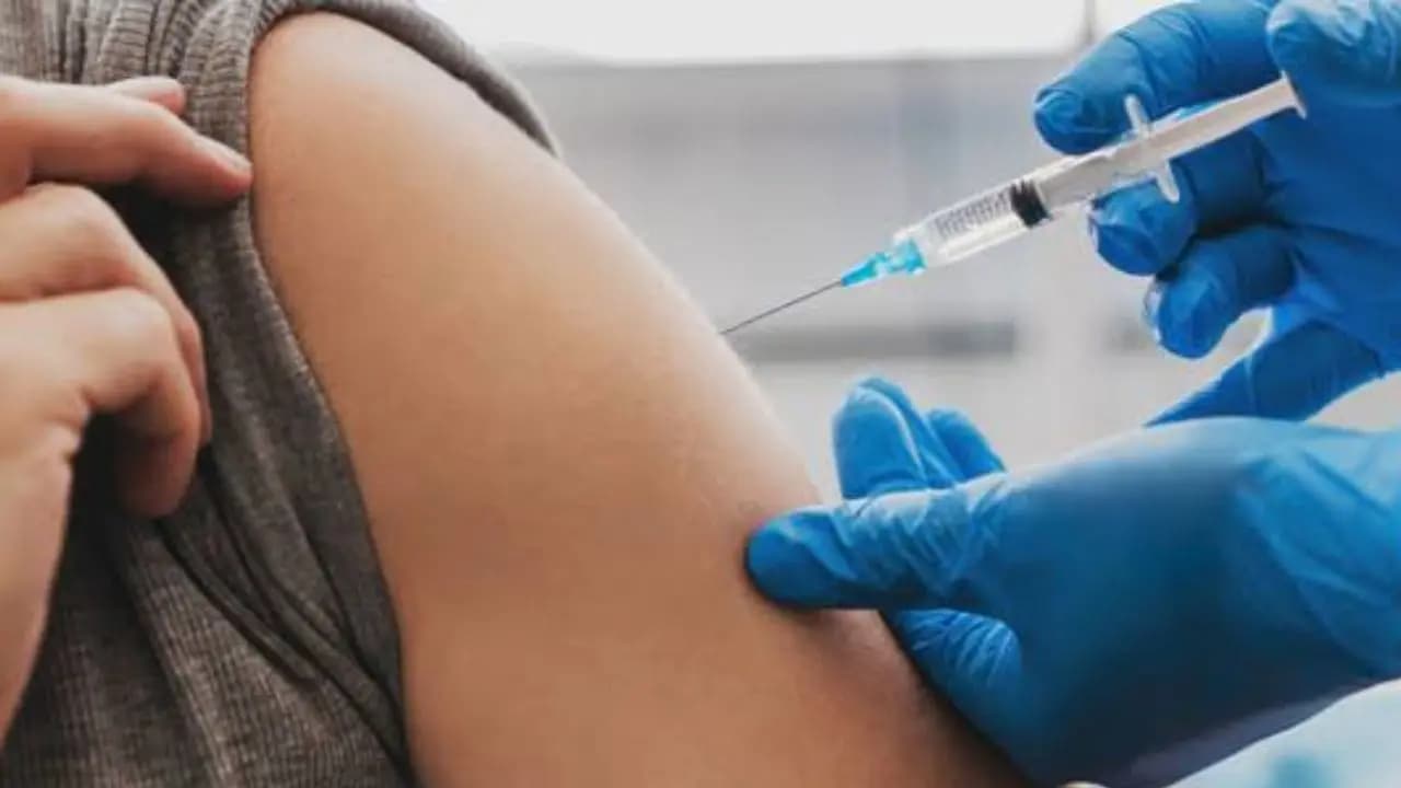 WHO Warning for India: El Nino May Affect Surge In Dengue Cases Heat Illnesses In India says WHO