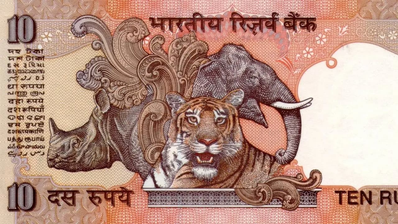 Why Old 10 Rupee Notes Featured Elephant Rhino Tiger RBI Design History