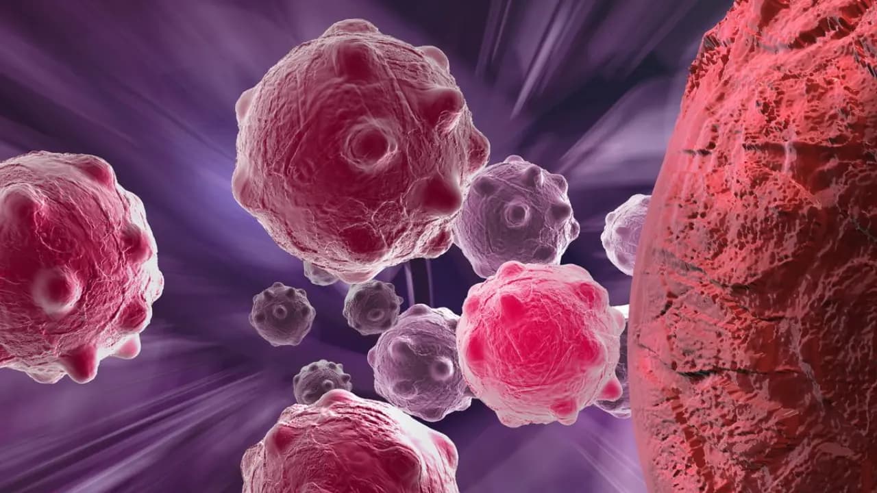  Metastatic Cancer Disappeared After Two Doses of Experimental Therapy