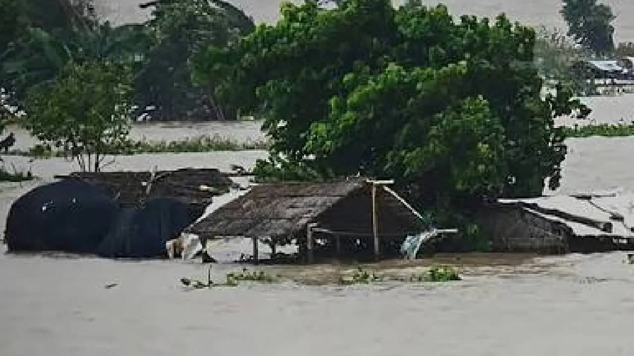 Ganga River Overflow: Army Deployed in Flood-Hit Bhutni, 13-Member Team Rescues Stranded Villagers