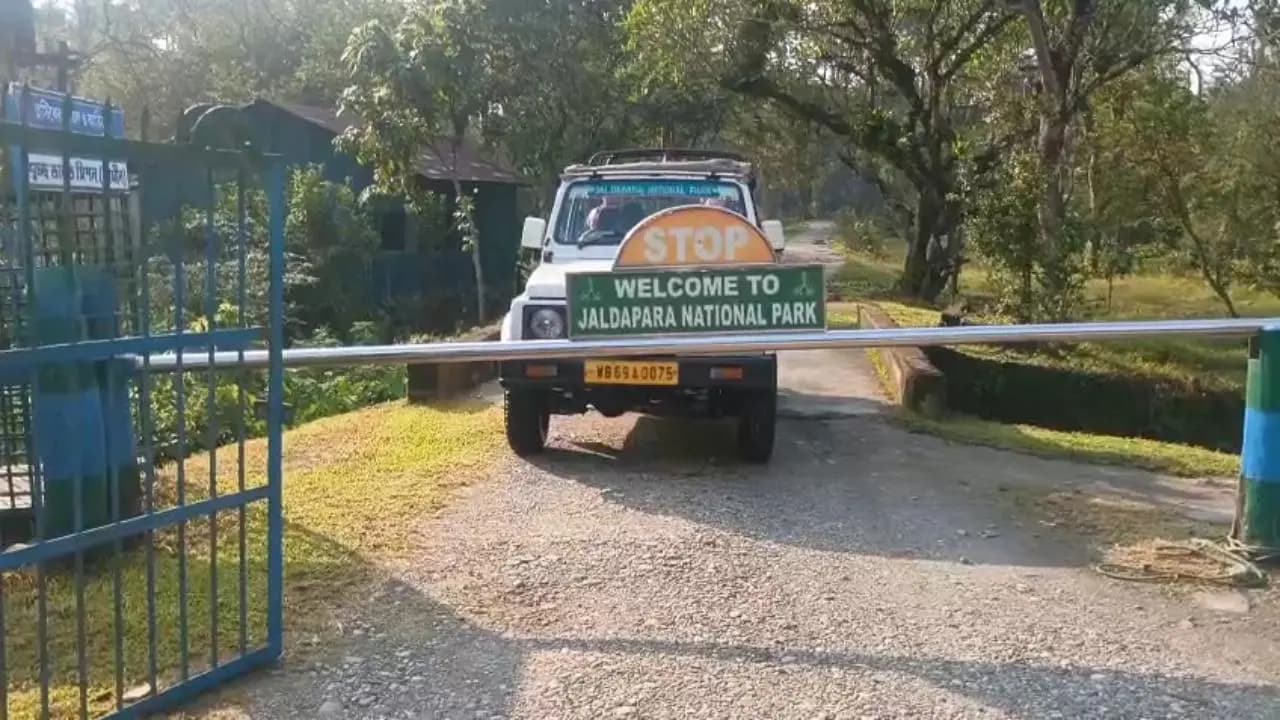 Jaldapara National forest opened for tourists after three months