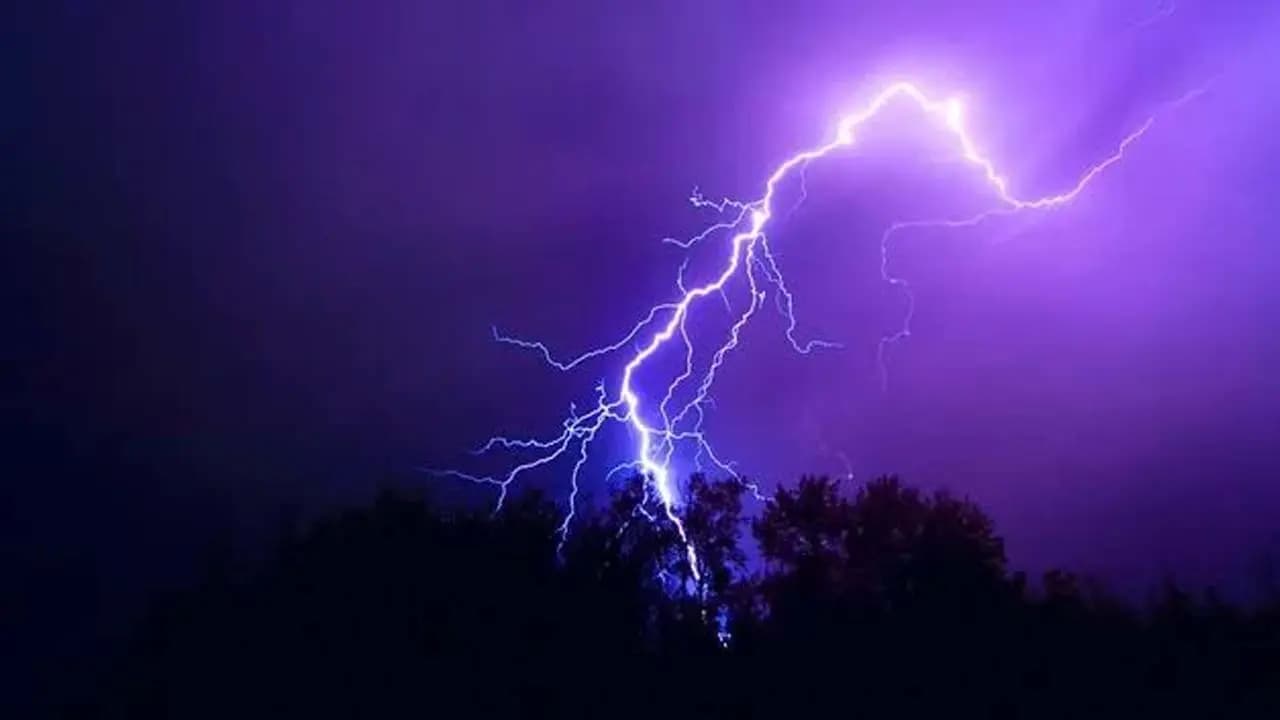 Six animals died in Durgapur due to repeated lightning strikes