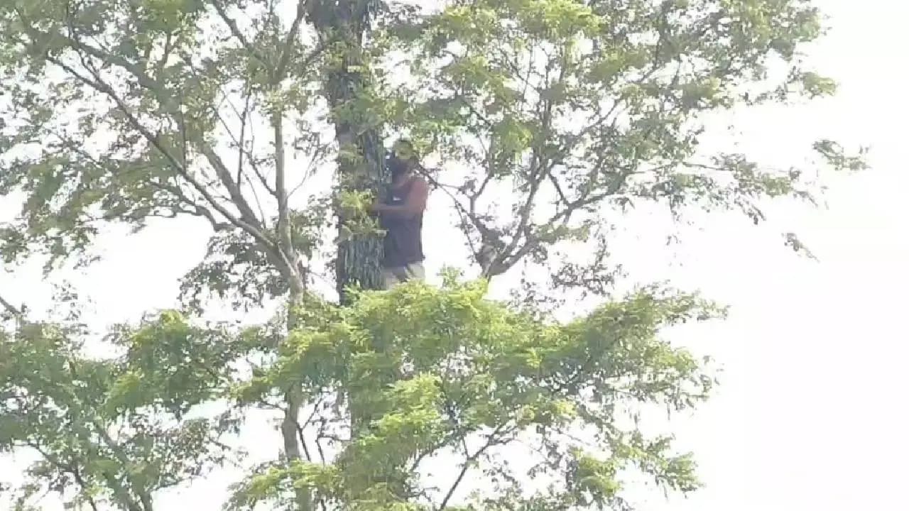 Family Drama in Dooars: Man On Tree For Argument with Wife, Returns Home After Son Begs Him to Come Down