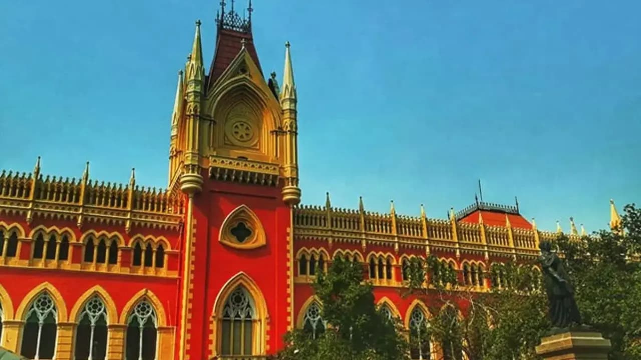 Adult Toys: Can Customs department prohibits body massager import Calcutta High Court to decide on October 9
