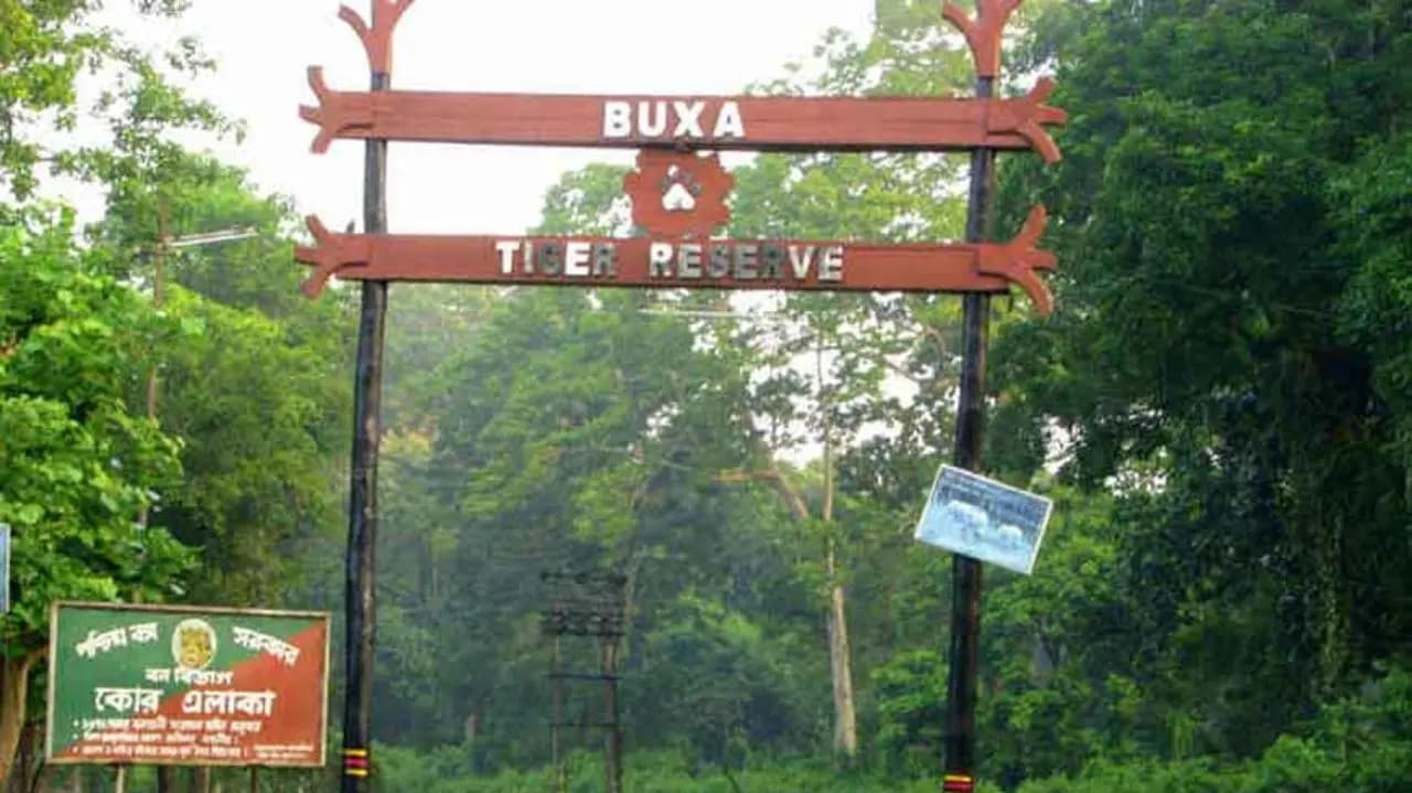Forest Department started preparation to bring back tigress in Buxa