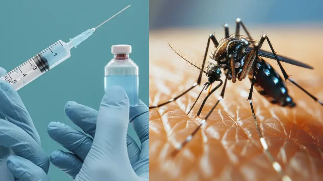 DengiAll India's Own Dengue Vaccine Could Arrive in 2027 will a Single Dose Provide Protection against all four virus strainss?