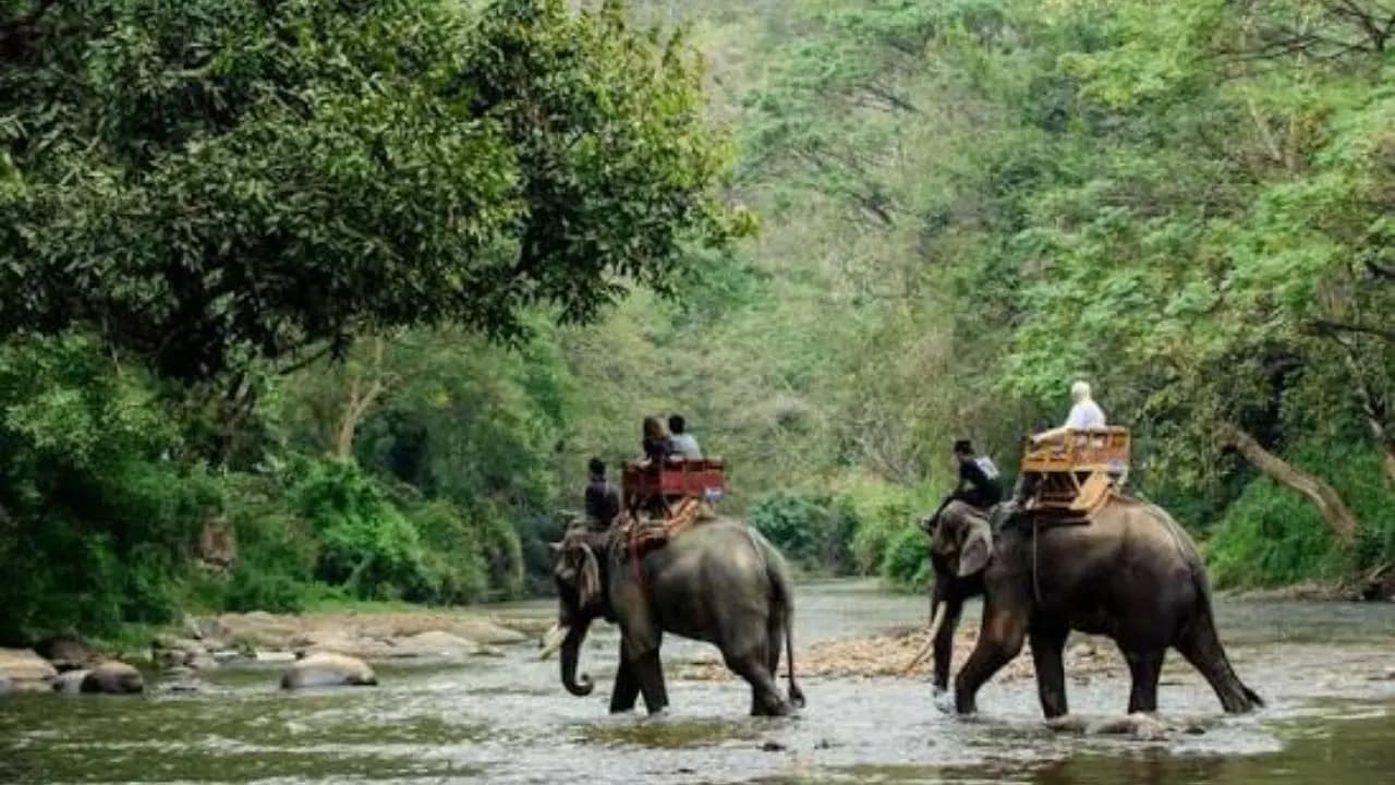 New Forest Fee for WB Tourists: Tourists have to pay money to enter the forest of West Bengal 