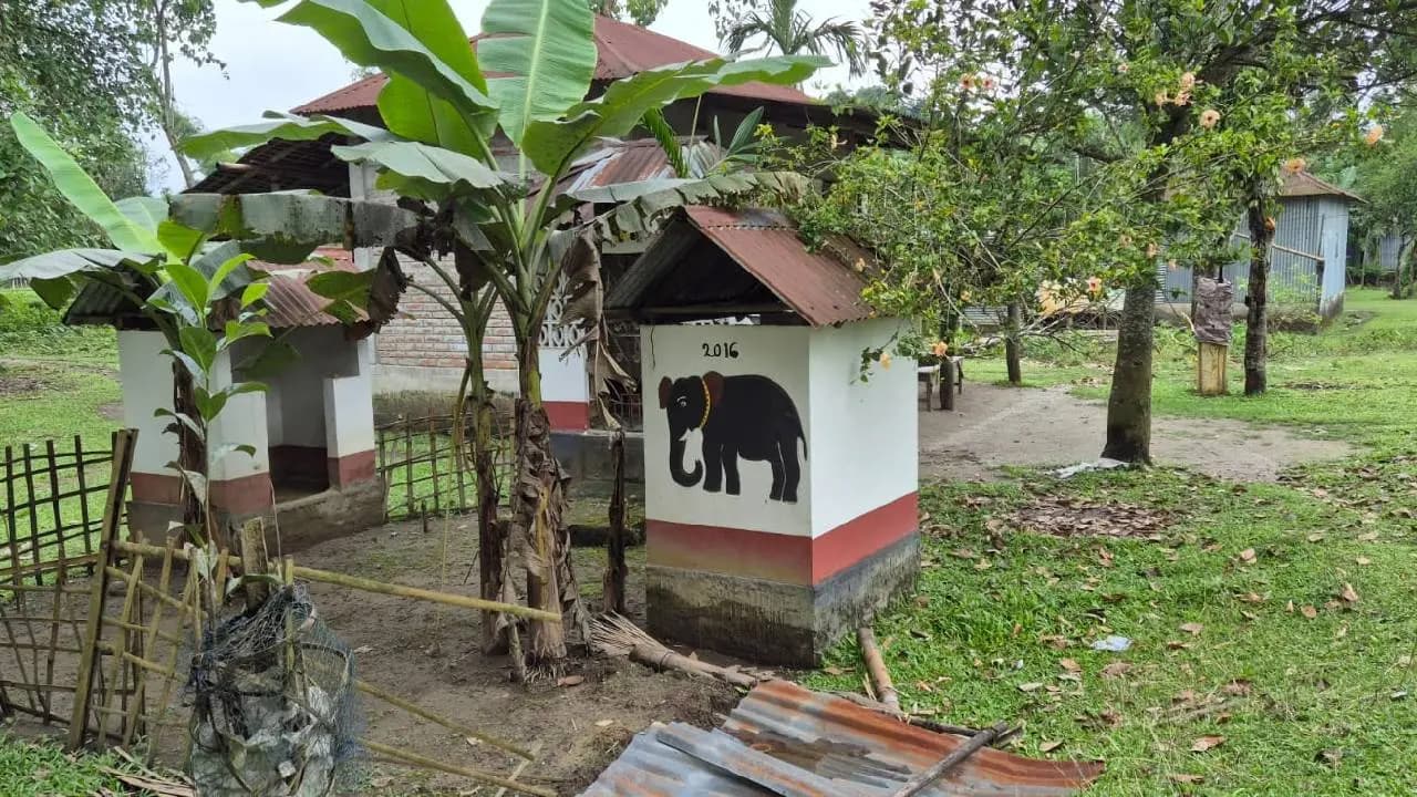 On Vishwakarma Puja An Elephant Takes the Place of the Deity in this Village of North Bengal