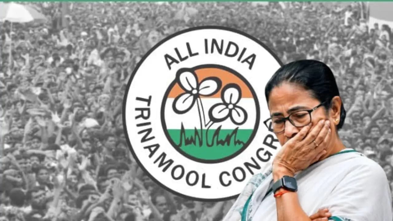 After Election Commission Freezes Trinamool Congress Symbol  Madan Mitras exclusive reaction on Mamata Banerjee and ber Symbol thought