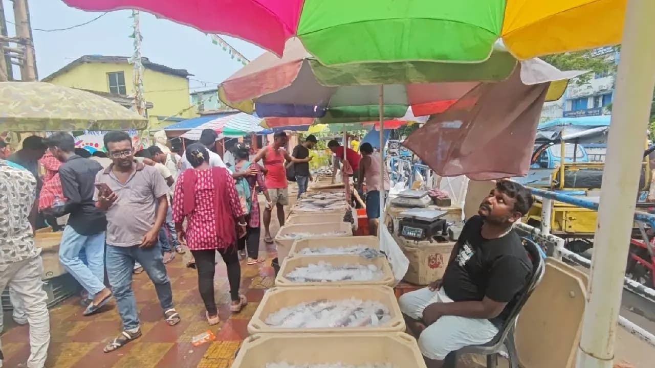 Vishwakarma Puja 2026: Hilsa Prices at Diamond Harbour Ahead of Rannaghar and Vishwakarma Puja