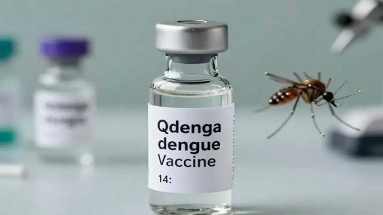 Dengue Vaccine Qdenga: This vaccine will be available in India by early 2027