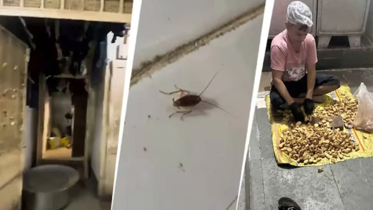 Flies in the food a urinal right next to it Food department stunned by the condition of a renowned Mumbai restaurant