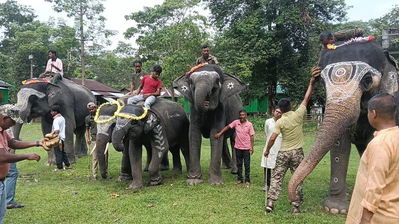 Vishwakarma Puja special worship for elephants at Jaldapara
