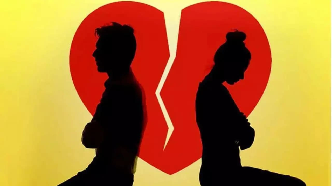 Kamala Nibas serial upcoming episode spoiler: will pallabi and Adityas relationship end soon