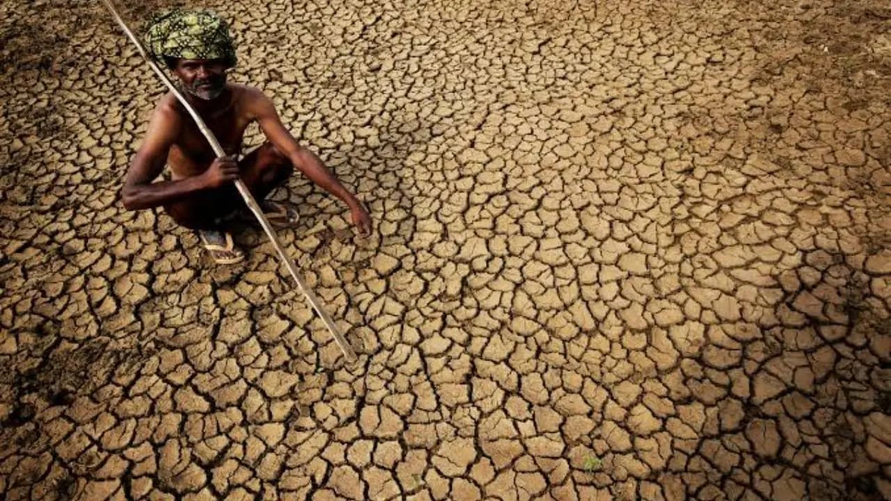 Super El Nino may cause 451000 additional global deaths 15800 in India