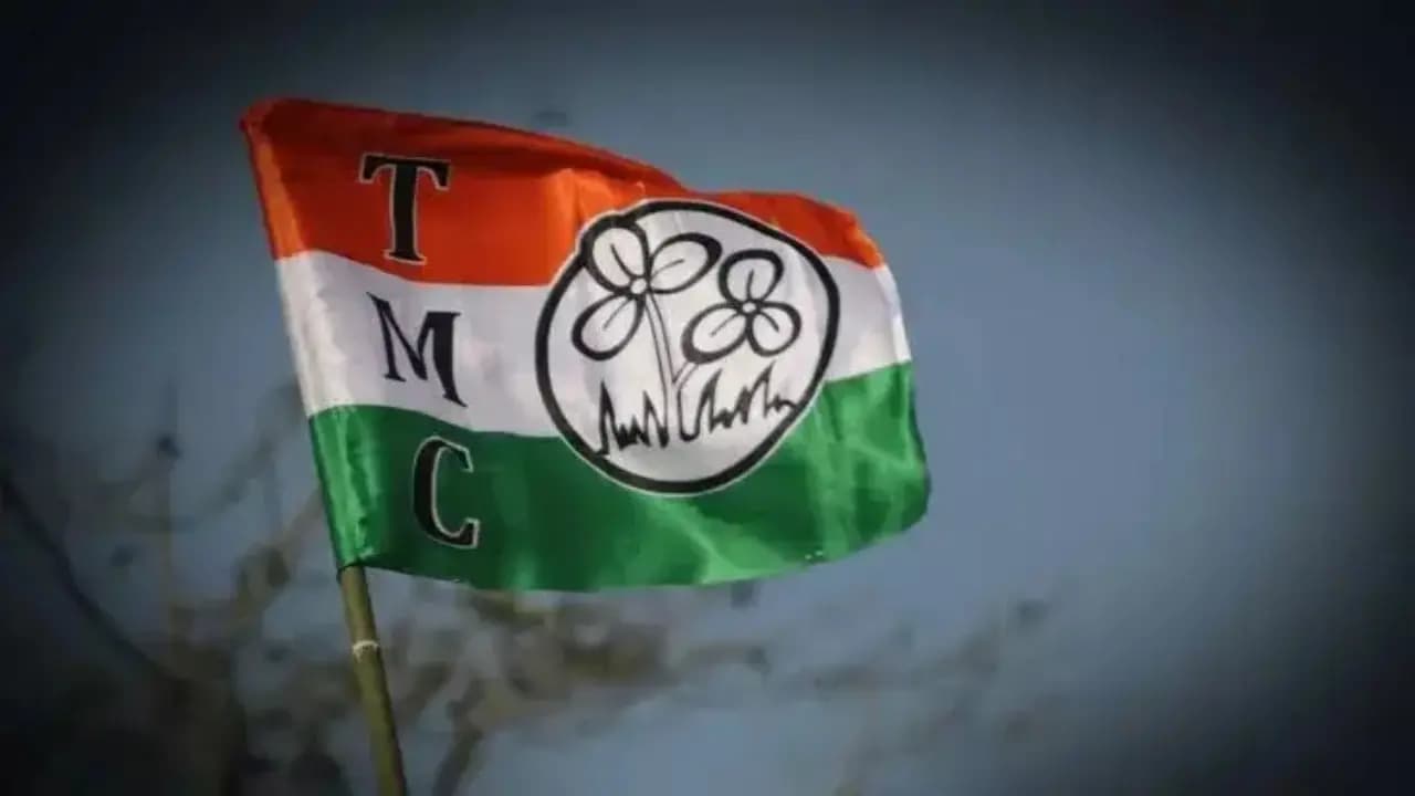 ECI Freezes TMC Symbol: Flag manufacturer from howrah is in Dilemma with lakhs of TMC symbol flag