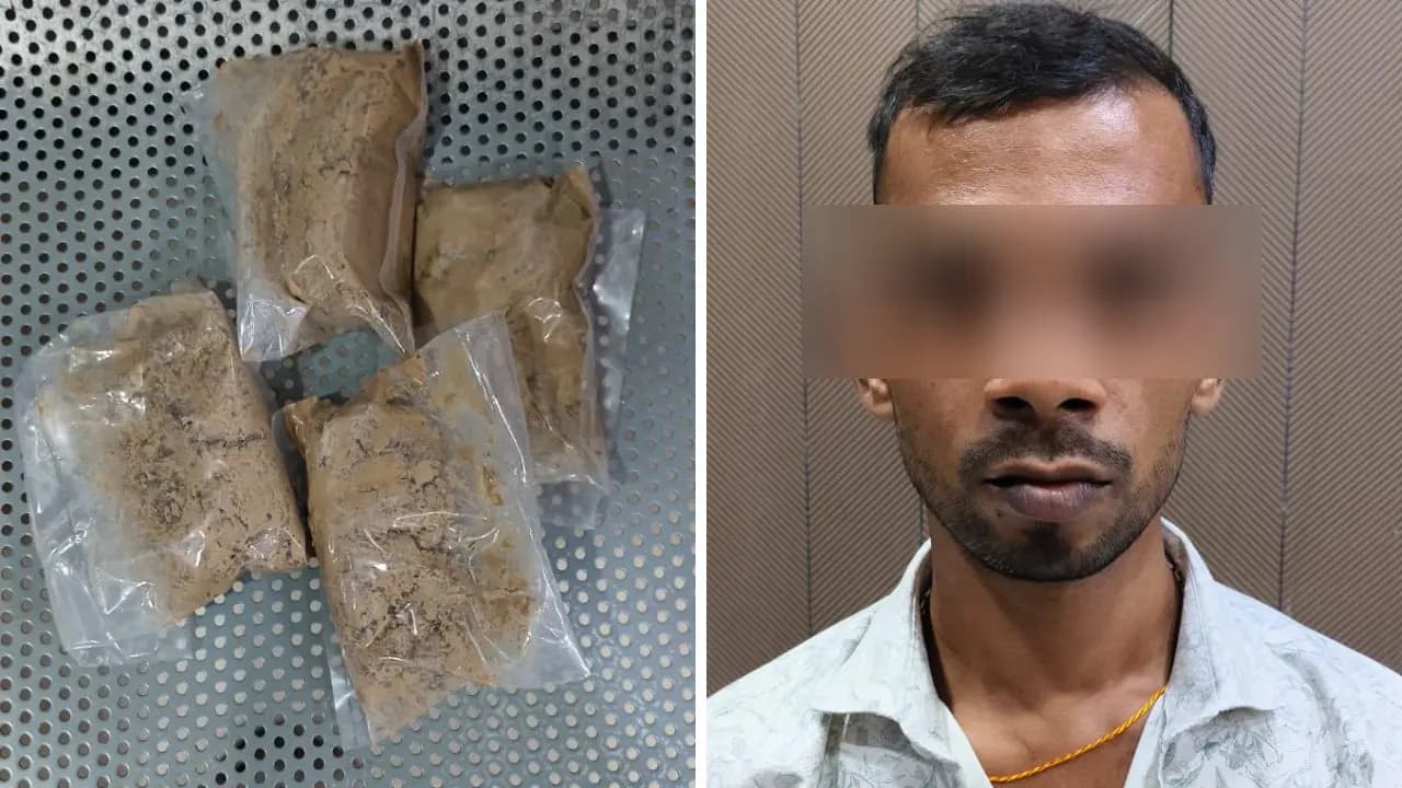 Yaba tablet brown sugar recovered by STF from Farakka and Murshidabad