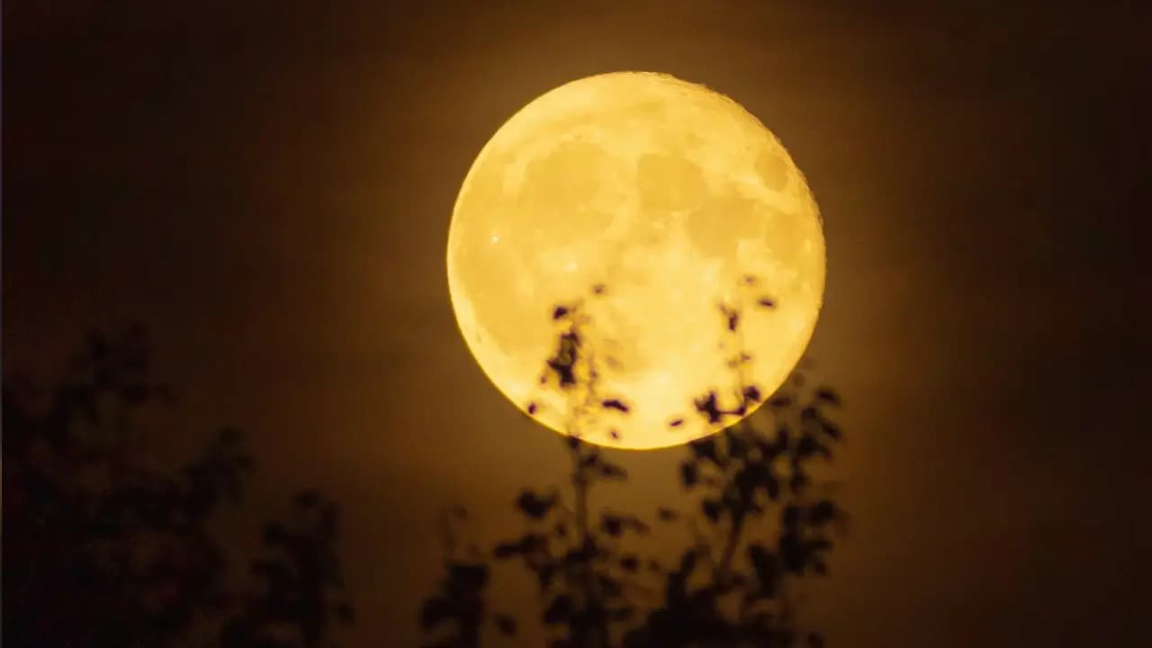 Harvest Moon Purnima Shraddha Date Time Rituals: Beware of Hidden Enemies in Relationship and Craeer