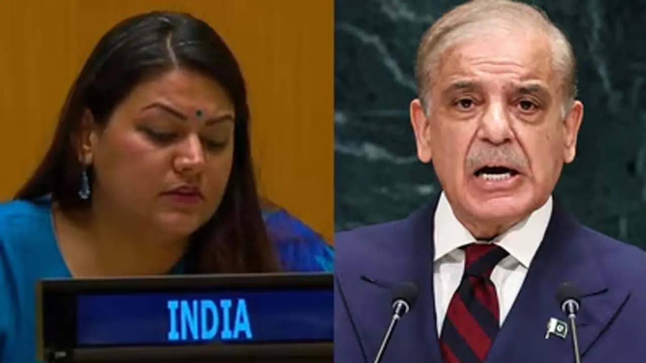 Indias Stern Response: Will have to face the consequences of terrorism India delivers a stern rebuttal  dismissing the claims made by Pakistans PM Shehbaz Sharif at the UN